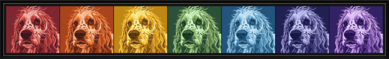 Prismatic Pup