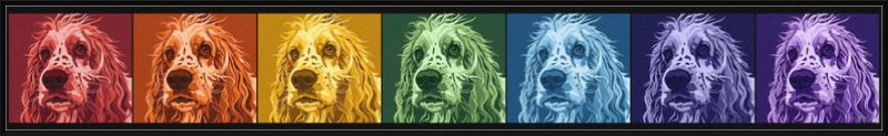 Prismatic Pup